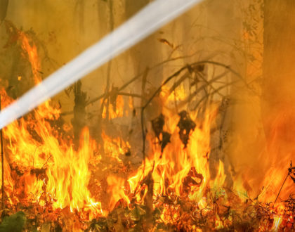 Australia Bushfires May Lead to Disruption of Asbestos