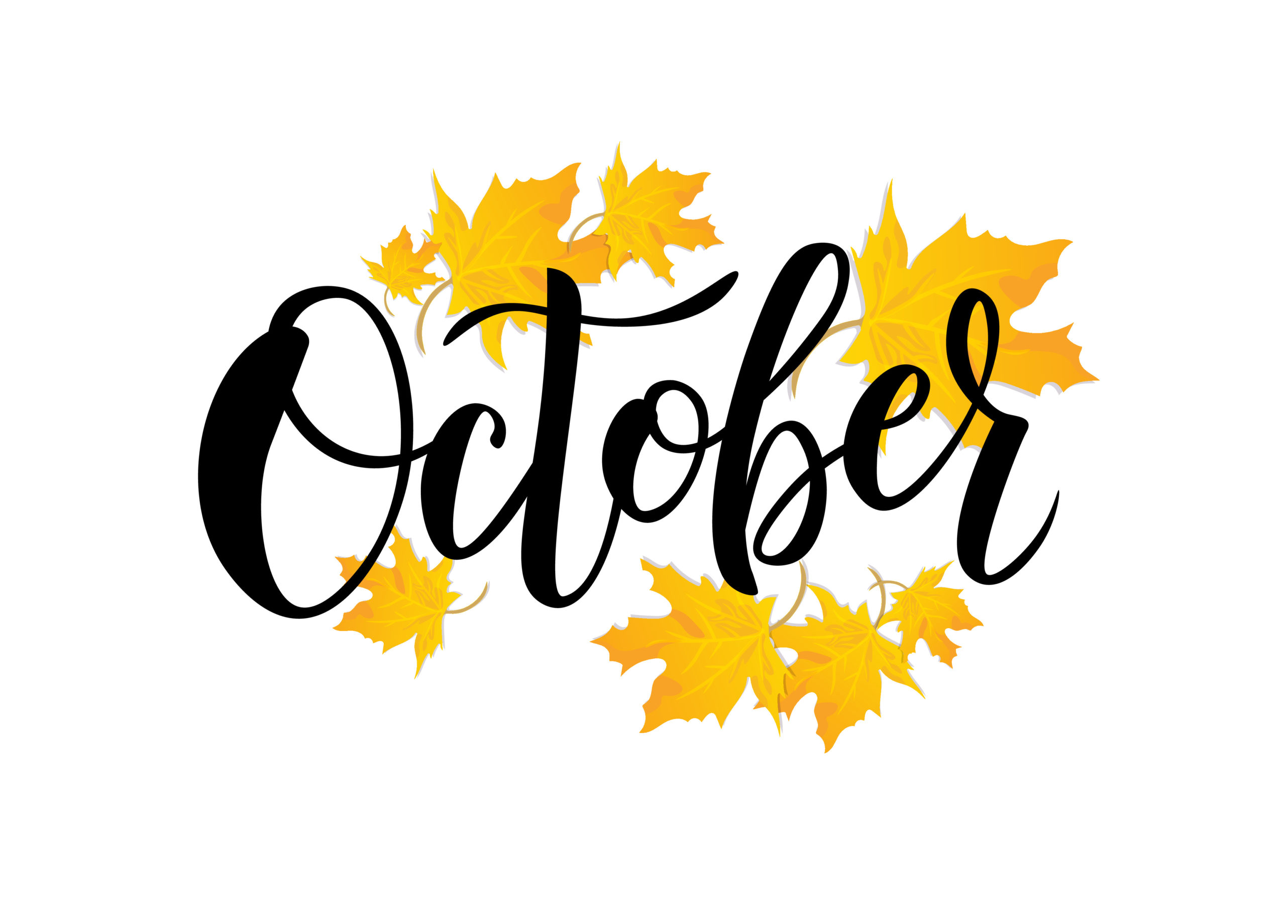 October in Review