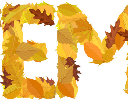 November in Review